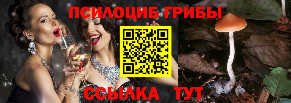 Галлюциногенные грибы прущие грибы Знаменск